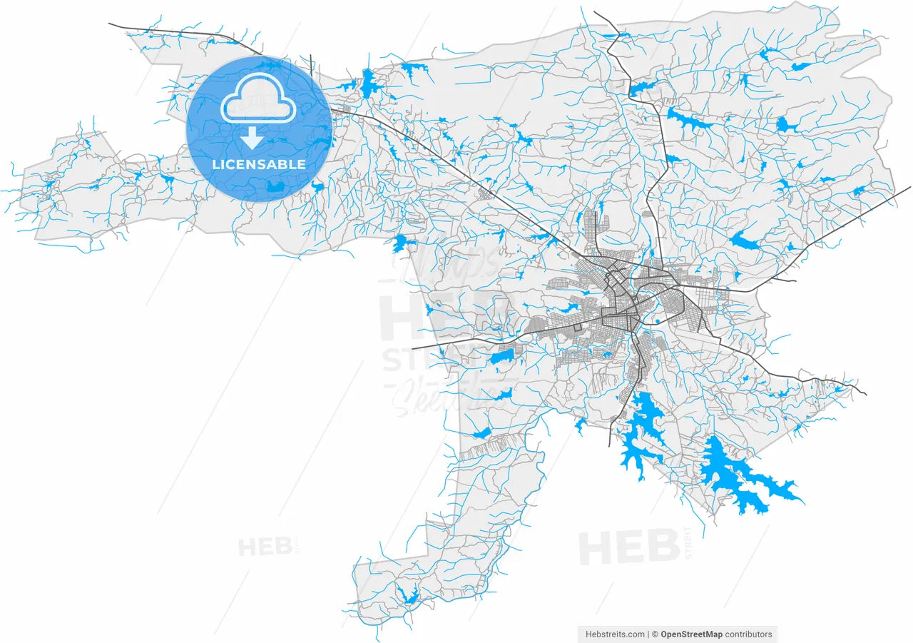 Patos, Brazil, high resolution vector map - Instant download PDF and JPG