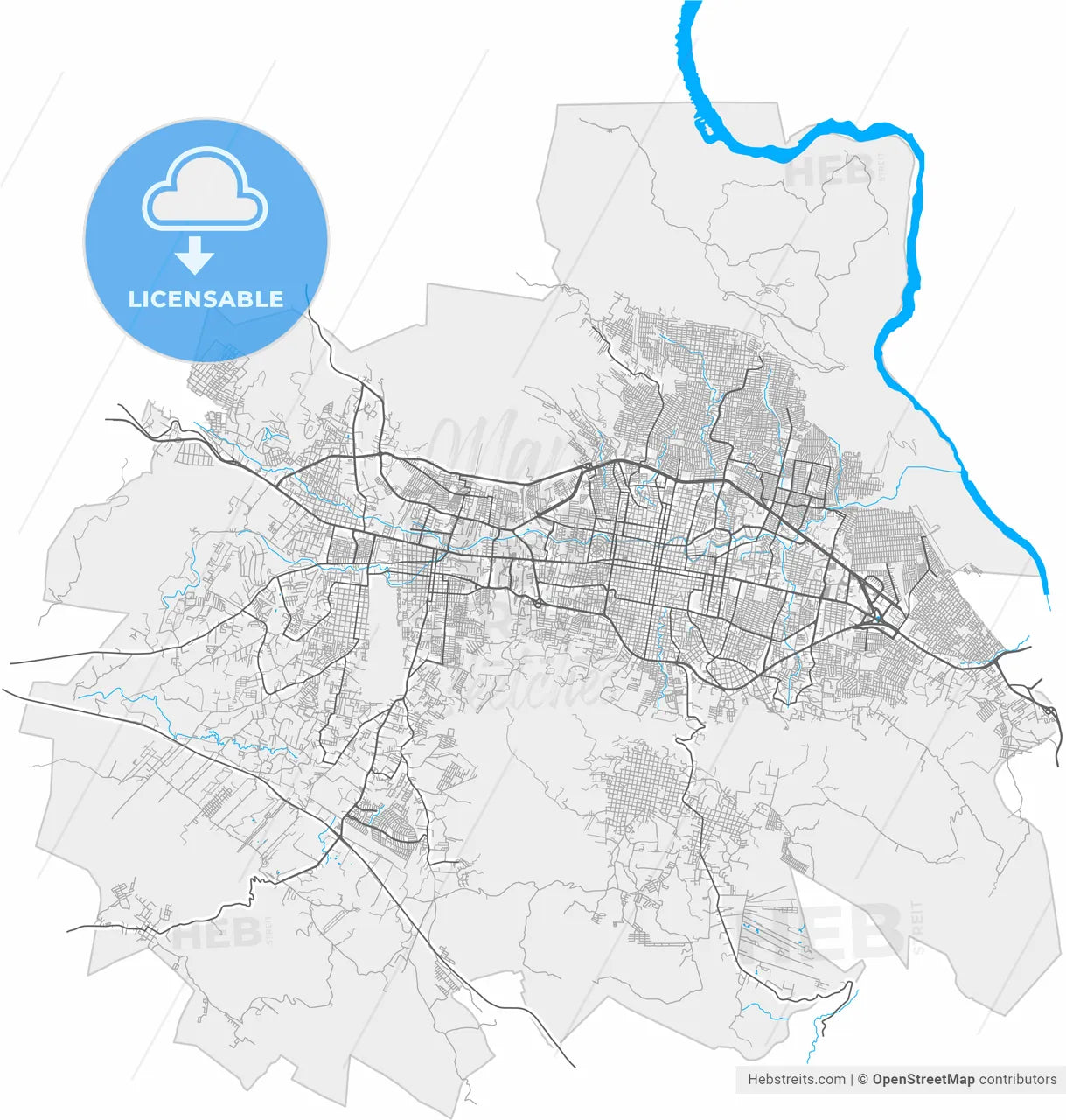 Tuxtla Gutiérrez, Chiapas, Mexico, high resolution vector map - Instant download PDF and JPG