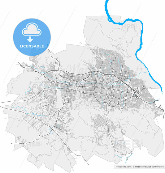 Tuxtla Gutiérrez, Chiapas, Mexico, high resolution vector map - Instant download PDF and JPG