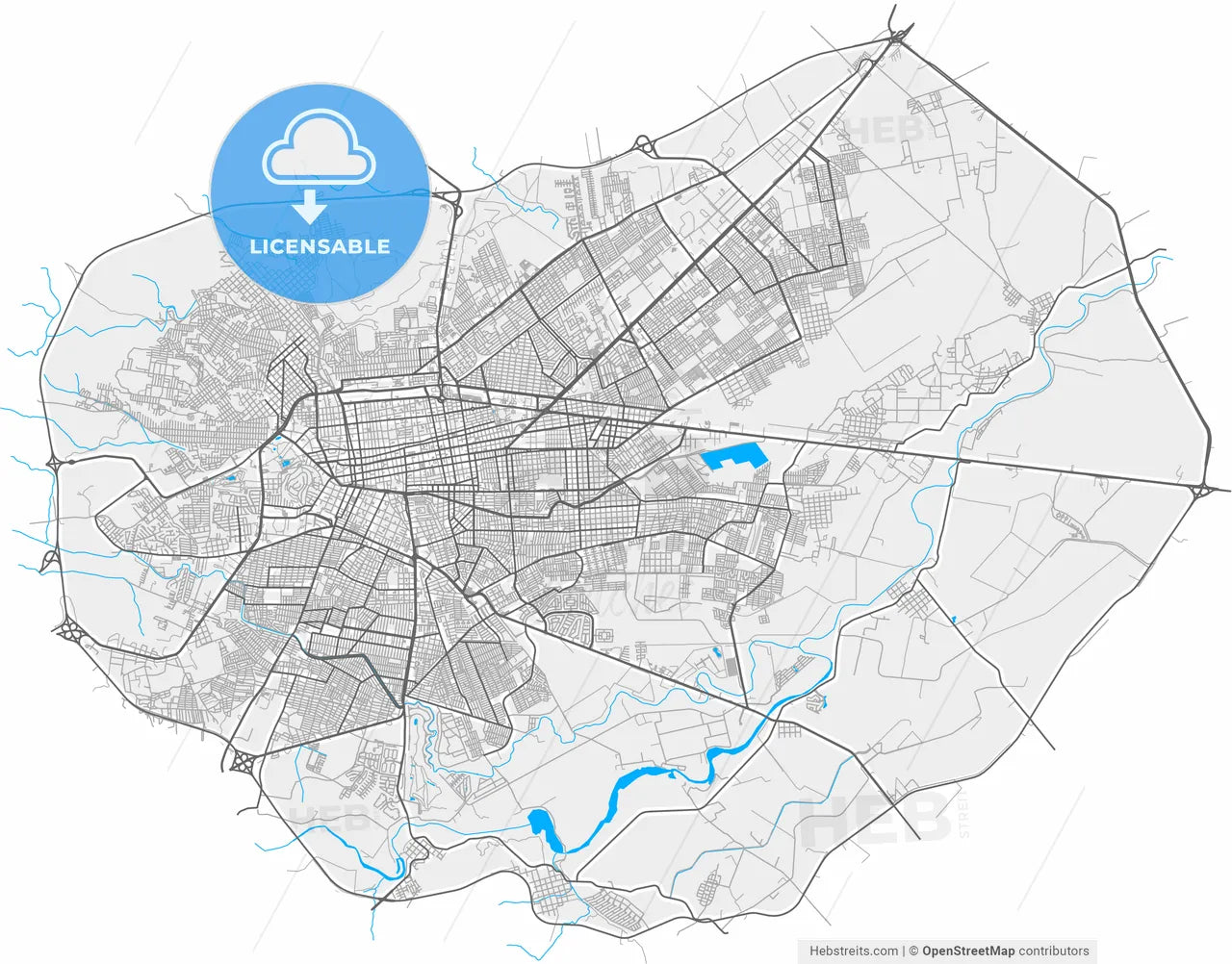 Durango, Durango, Mexico, high resolution vector map - Instant download PDF and JPG