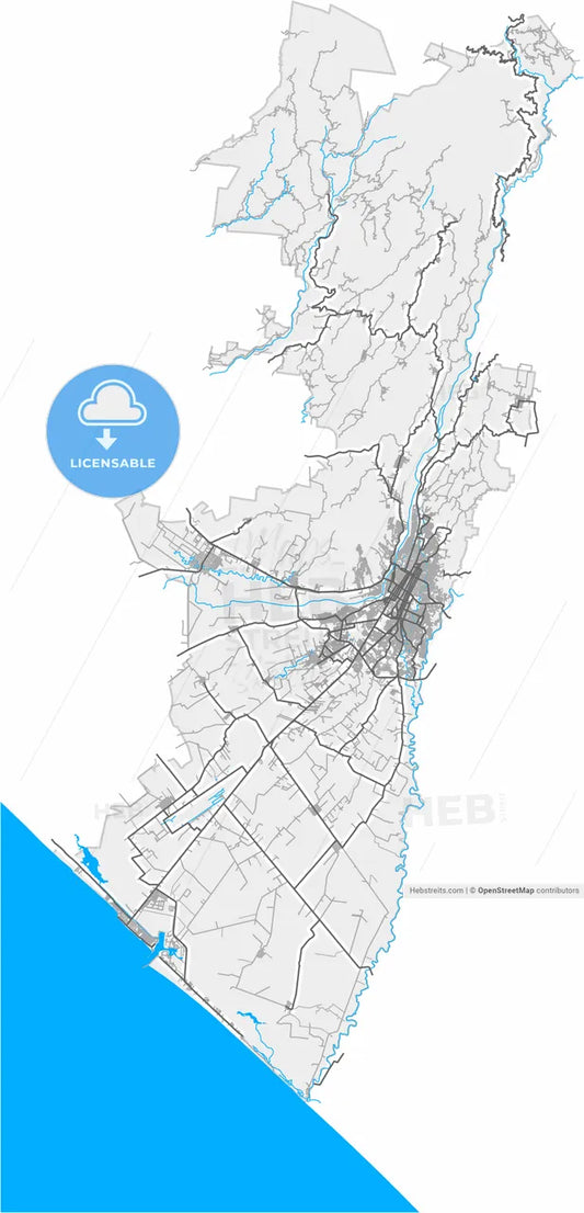 Tapachula, Chiapas, Mexico, high resolution vector map - Instant download PDF and JPG