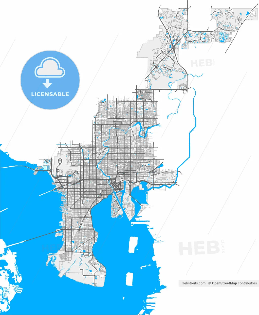 Tampa, Florida, United States, high resolution vector map - Instant download PDF and JPG