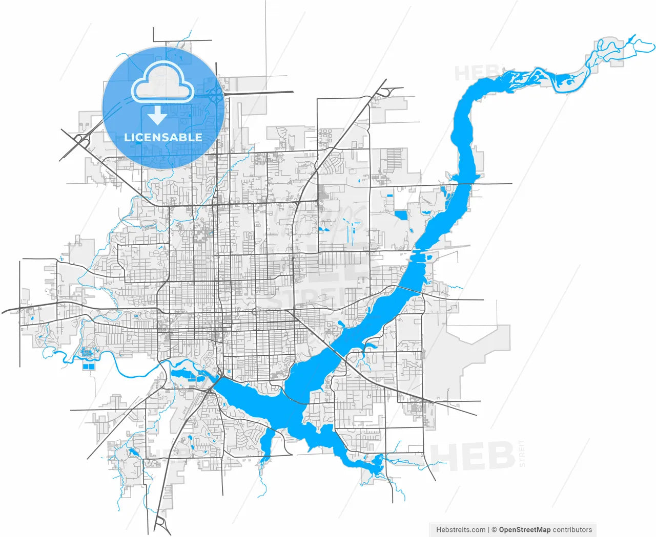 Decatur, Illinois, United States, high resolution vector map - Instant download PDF and JPG