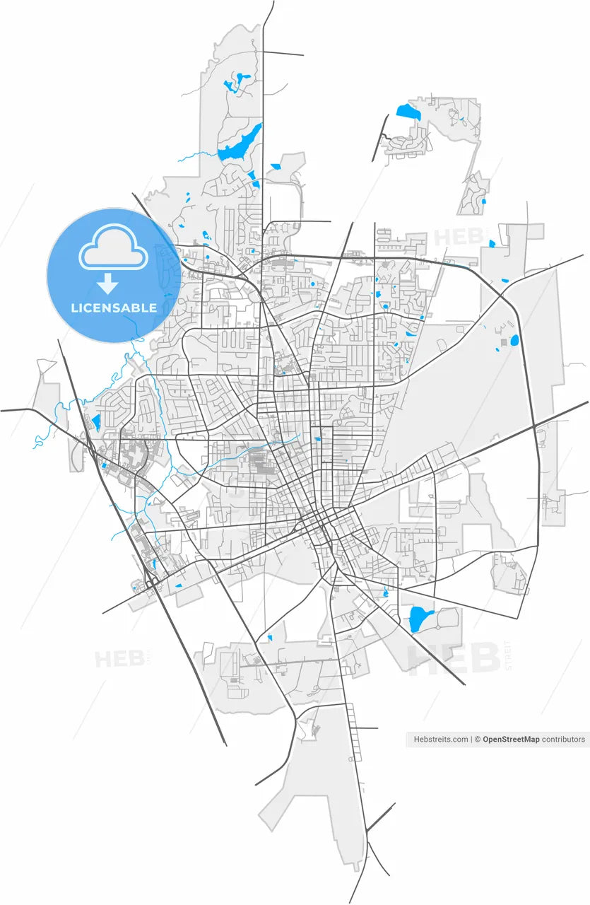 Valdosta, Georgia, United States, high resolution vector map - Instant download PDF and JPG