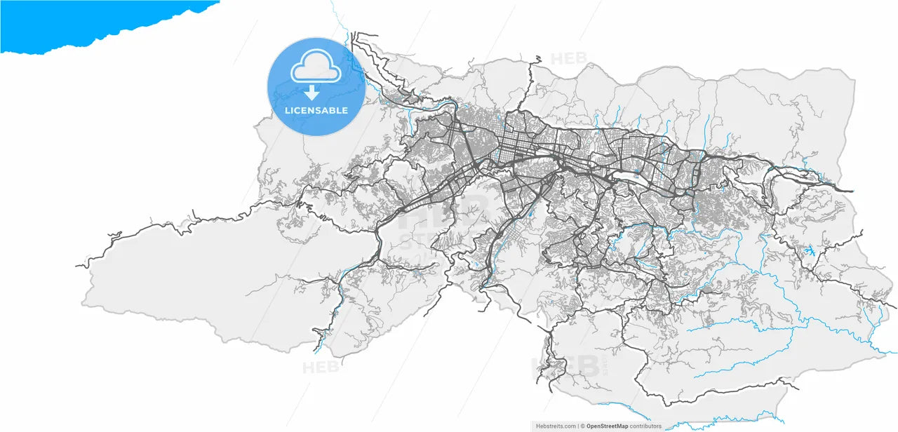 Caracas, Venezuela, high resolution vector map - Instant download PDF and JPG