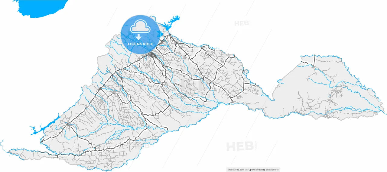 Barinas, Venezuela, high resolution vector map - Instant download PDF and JPG