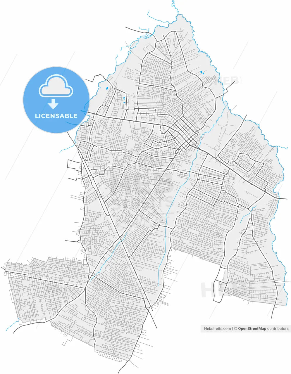 Capiata, Paraguay, high resolution vector map - Instant download PDF and JPG