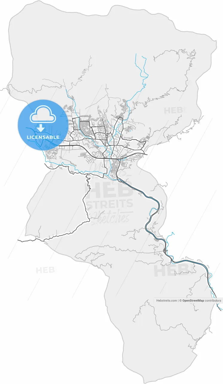 Guatire, Venezuela, high resolution vector map - Instant download PDF and JPG