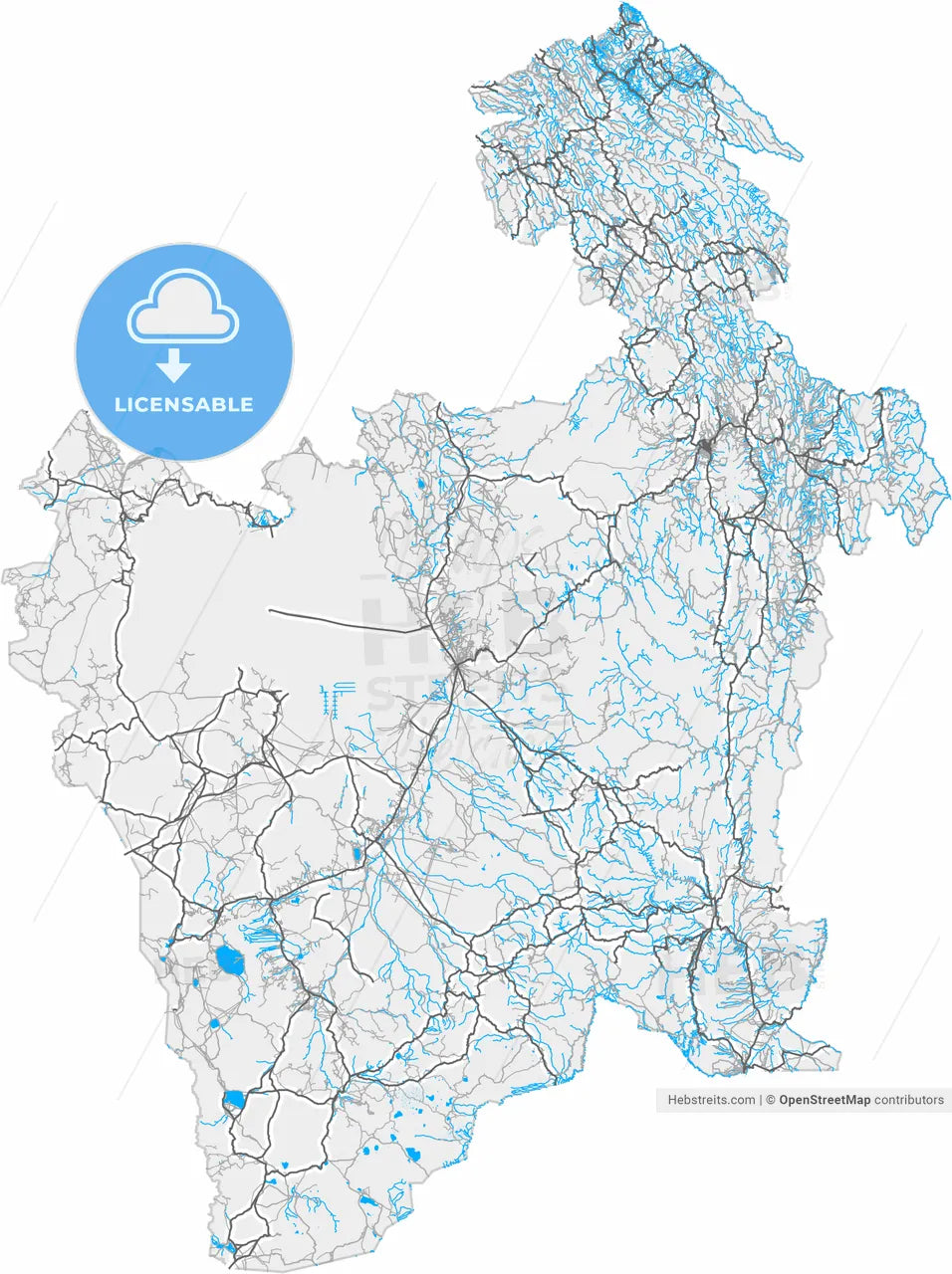 Potosi, Bolivia, high resolution vector map - Instant download PDF and JPG