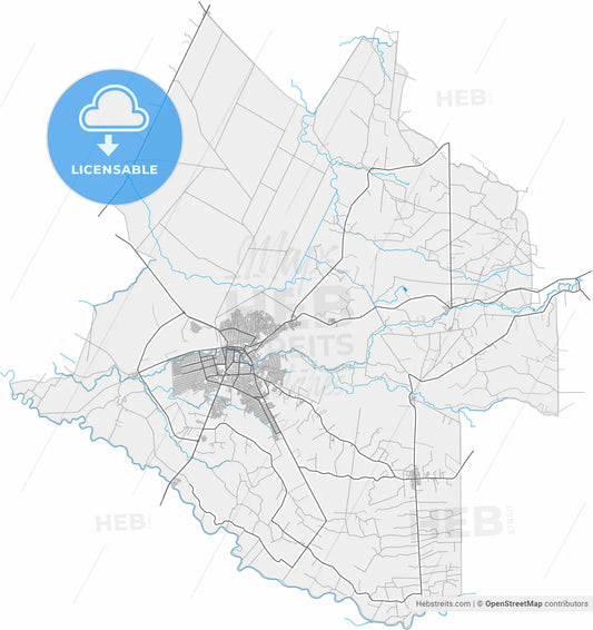 Milagro, Ecuador, high resolution vector map - Instant download PDF and JPG