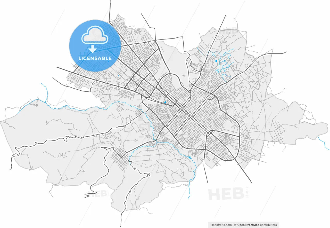 Riobamba, Ecuador, high resolution vector map - Instant download PDF and JPG