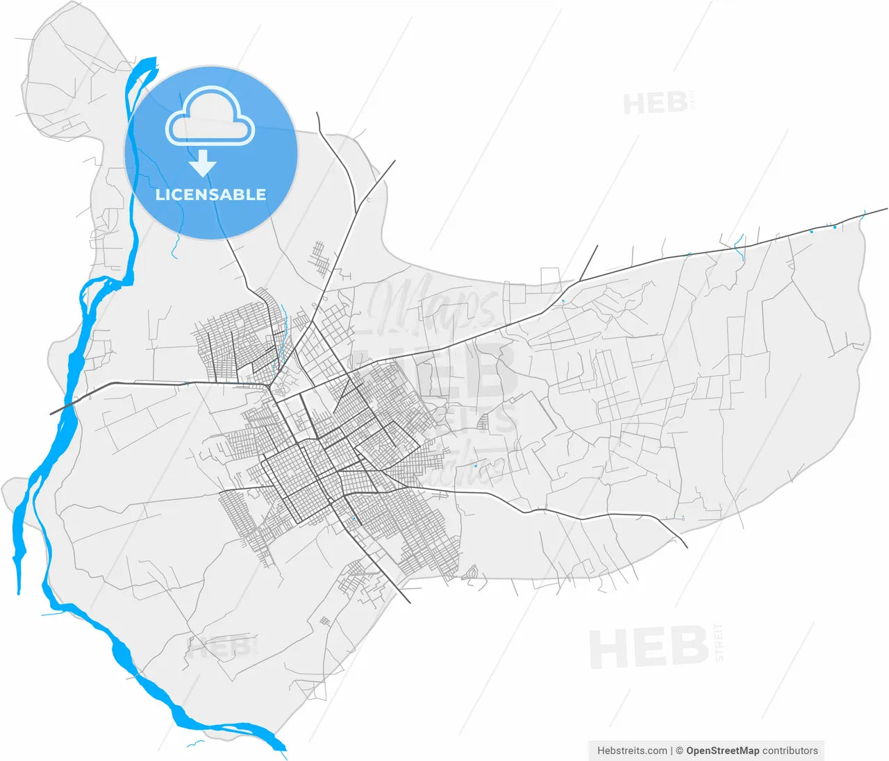Montero, Bolivia, high resolution vector map - Instant download PDF and JPG
