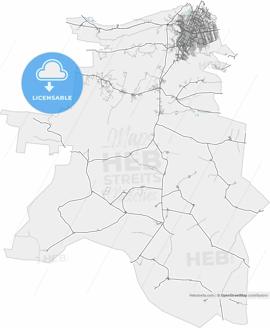 Saltillo, Coahuila, Mexico, high resolution vector map - Instant download PDF and JPG