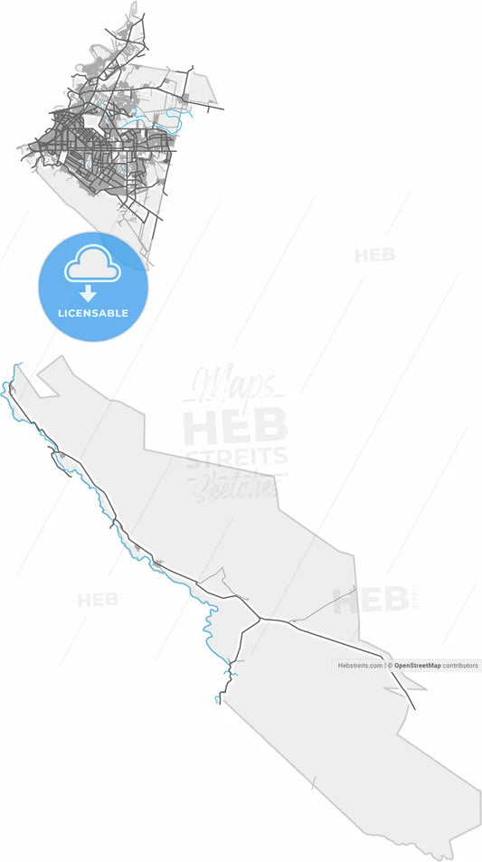 Torreón, Coahuila, Mexico, high resolution vector map - Instant download PDF and JPG