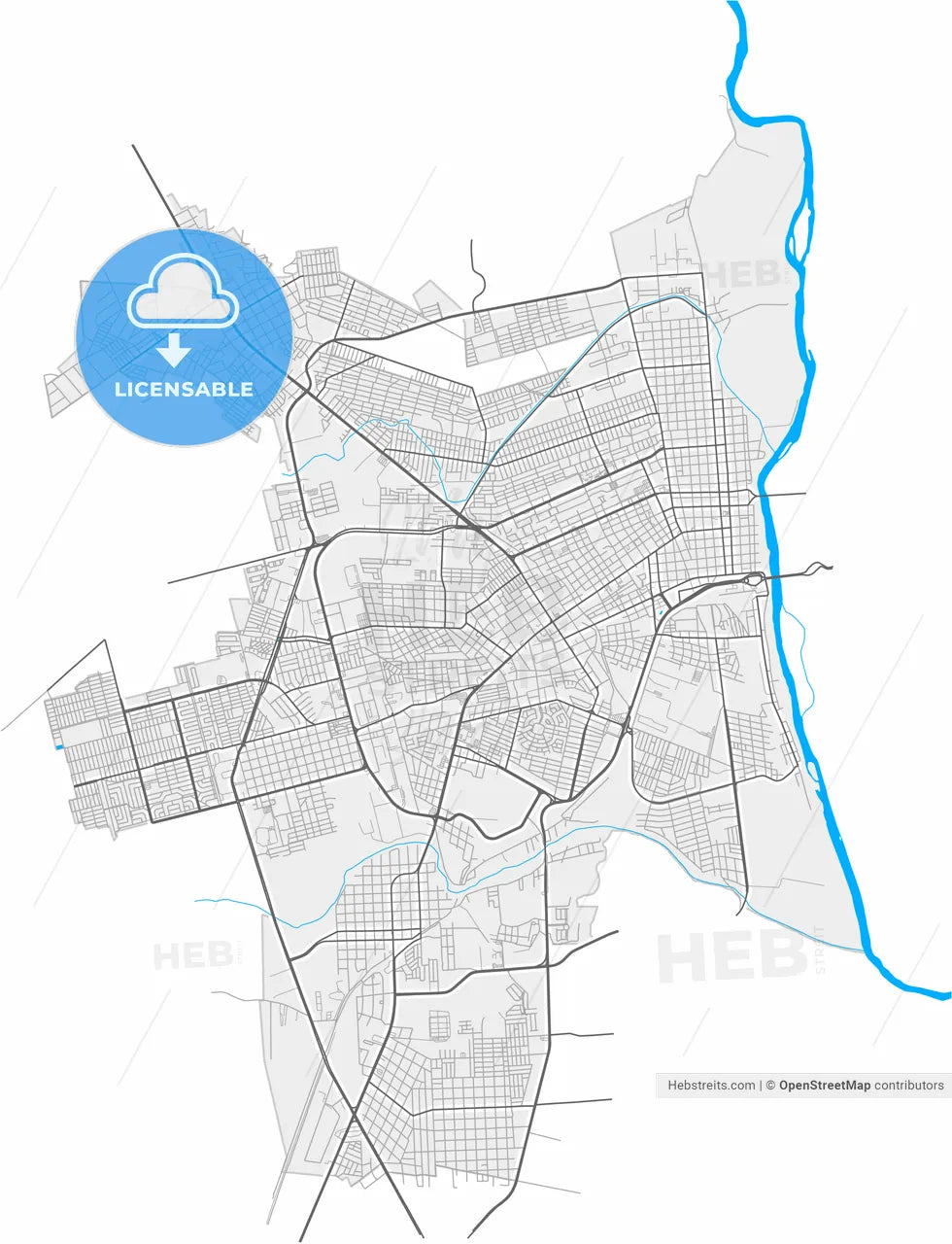 Piedras Negras, Coahuila, Mexico, high resolution vector map - Instant download PDF and JPG