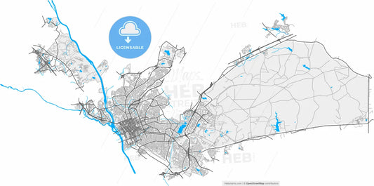 Columbia, South Carolina, United States, high resolution vector map - Instant download PDF and JPG