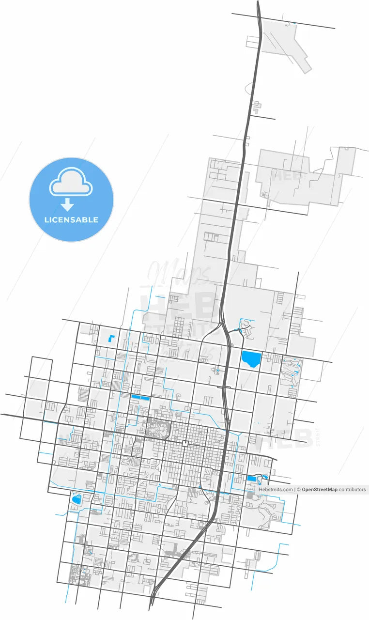 Edinburg, Texas, United States, high resolution vector map - Instant download PDF and JPG