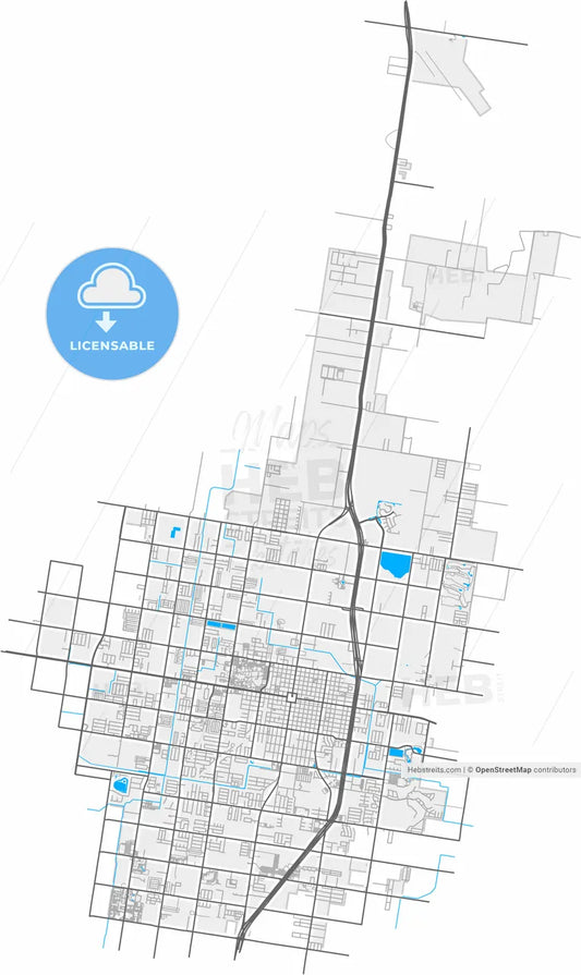 Edinburg, Texas, United States, high resolution vector map - Instant download PDF and JPG