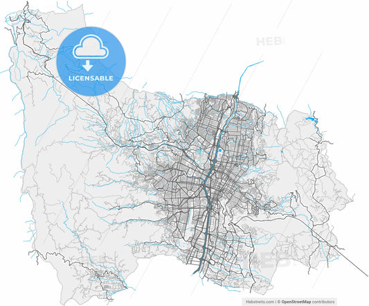 Medellin, Colombia, high resolution vector map - Instant download PDF and JPG