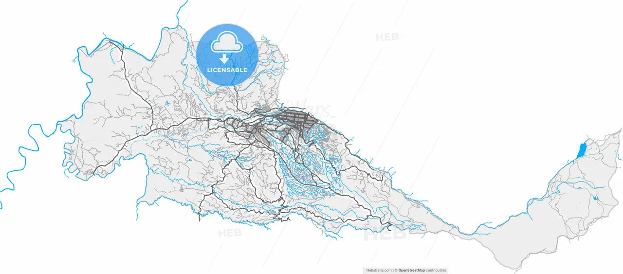 Pereira, Colombia, high resolution vector map - Instant download PDF and JPG