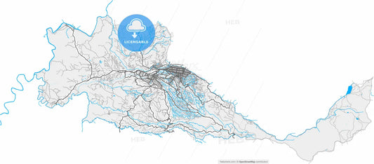 Pereira, Colombia, high resolution vector map - Instant download PDF and JPG