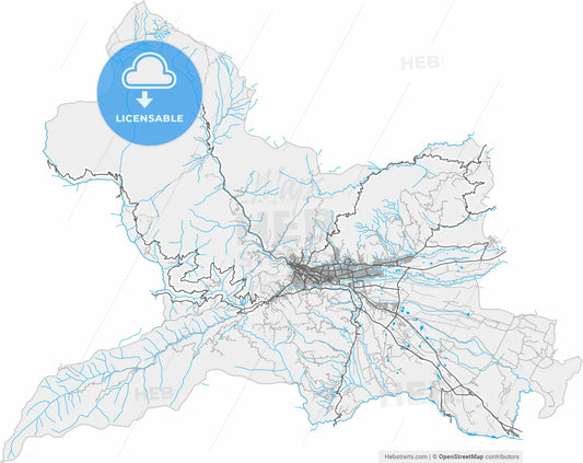 Ibague, Colombia, high resolution vector map - Instant download PDF and JPG