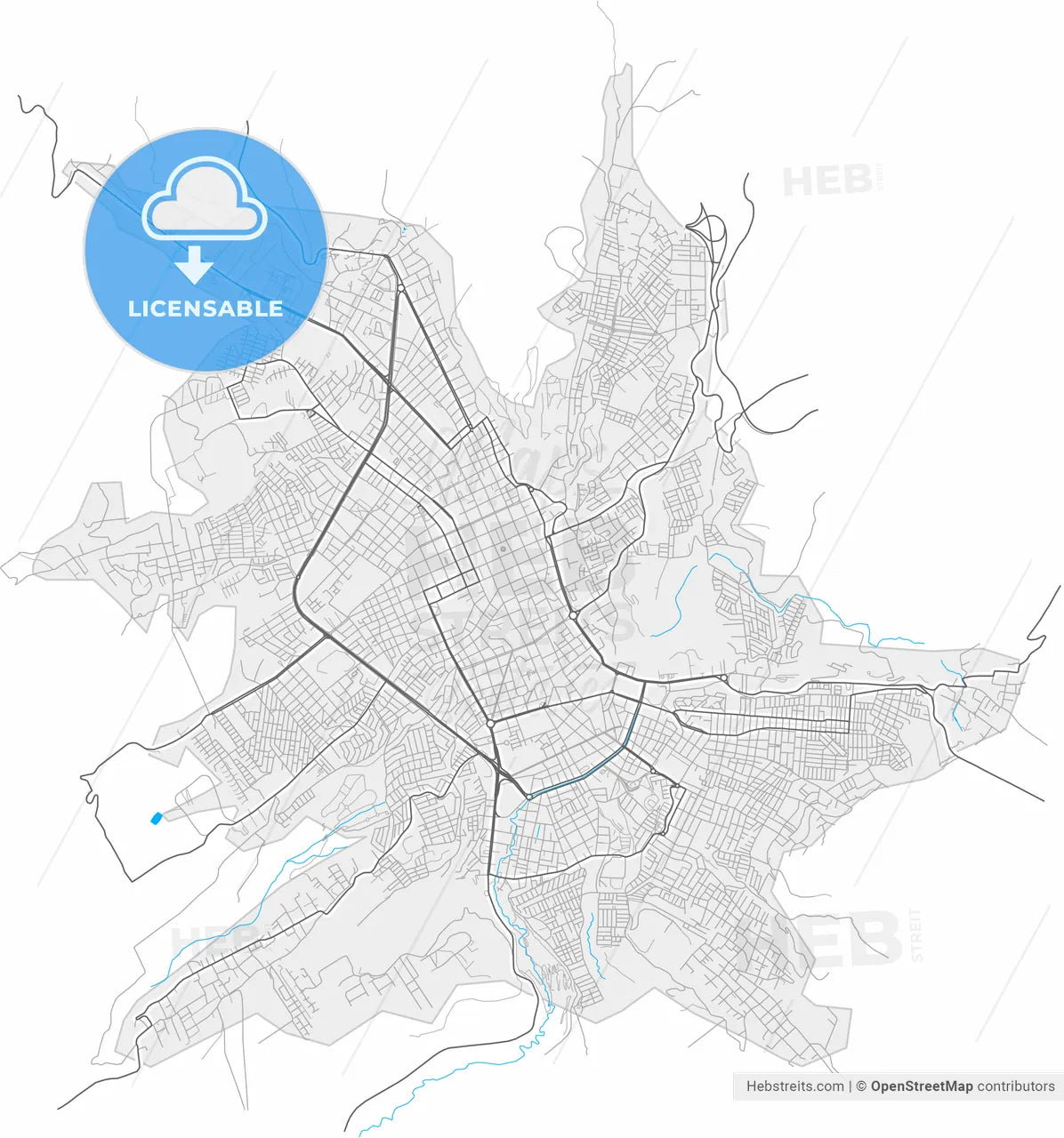 Pasto, Colombia, high resolution vector map - Instant download PDF and JPG