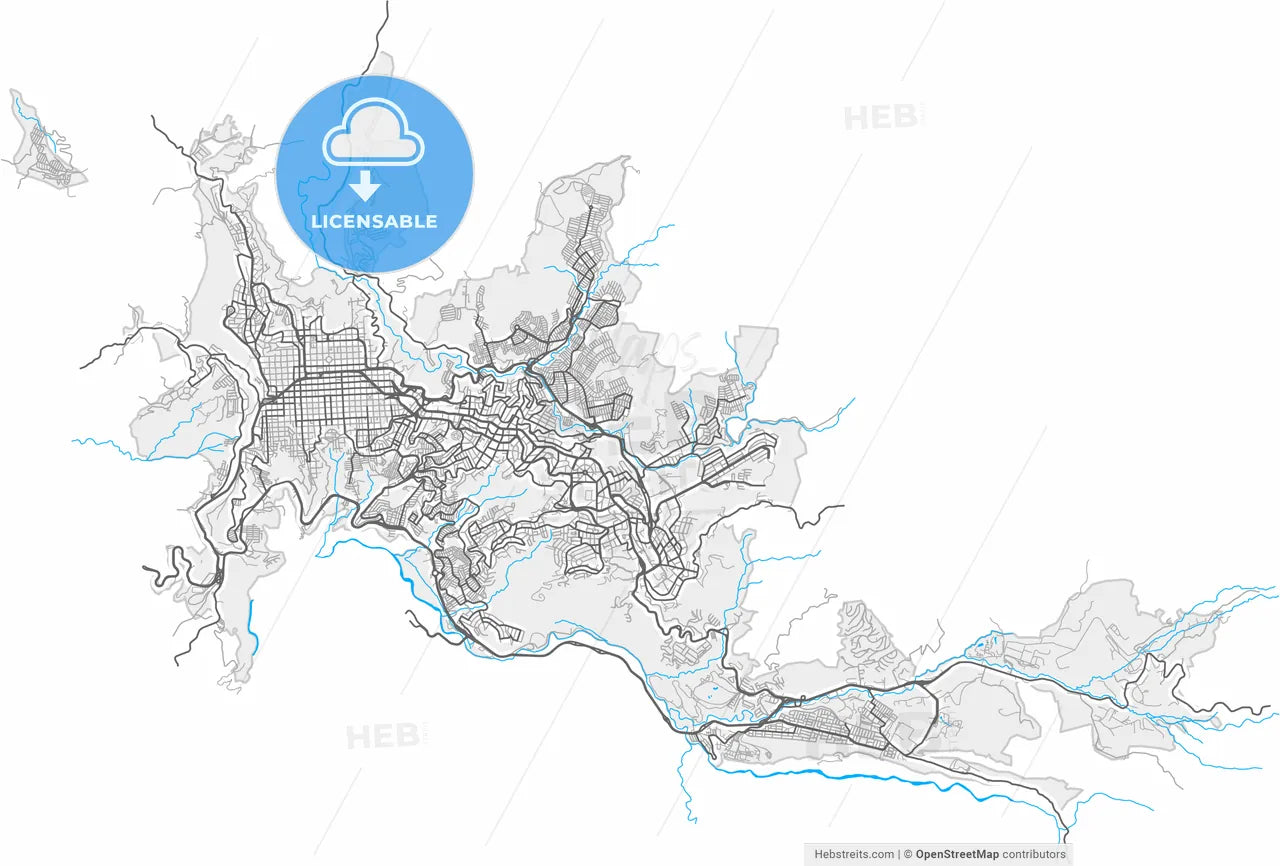 Manizales, Colombia, high resolution vector map - Instant download PDF and JPG