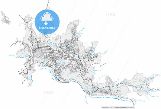 Manizales, Colombia, high resolution vector map - Instant download PDF and JPG