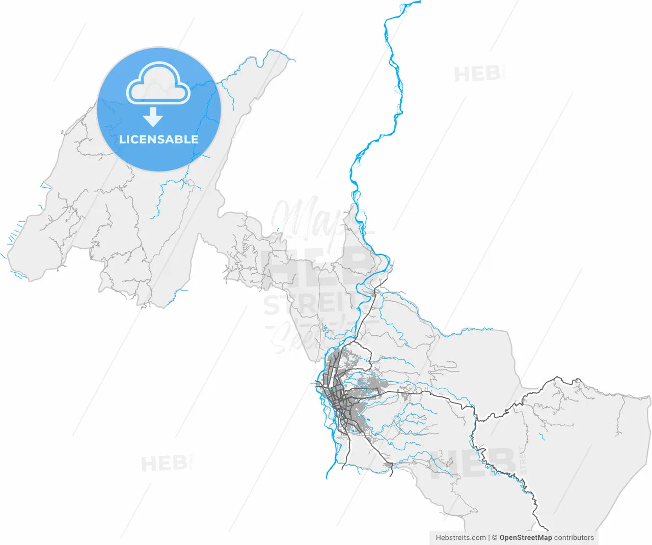 Neiva, Colombia, high resolution vector map - Instant download PDF and JPG
