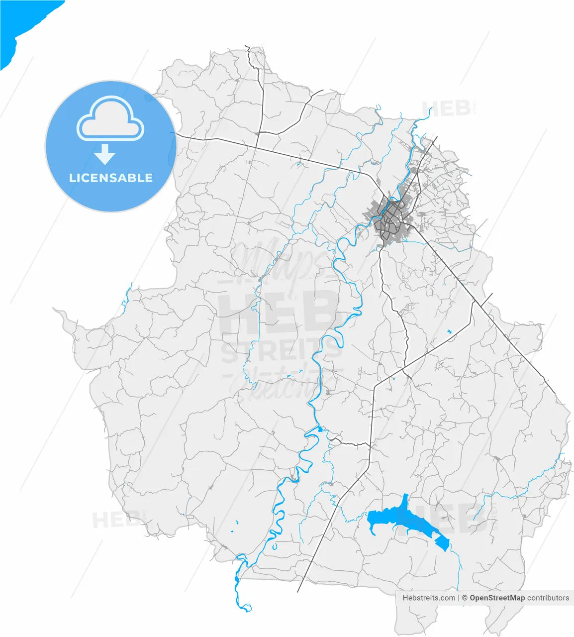 Monteria, Colombia, high resolution vector map - Instant download PDF and JPG