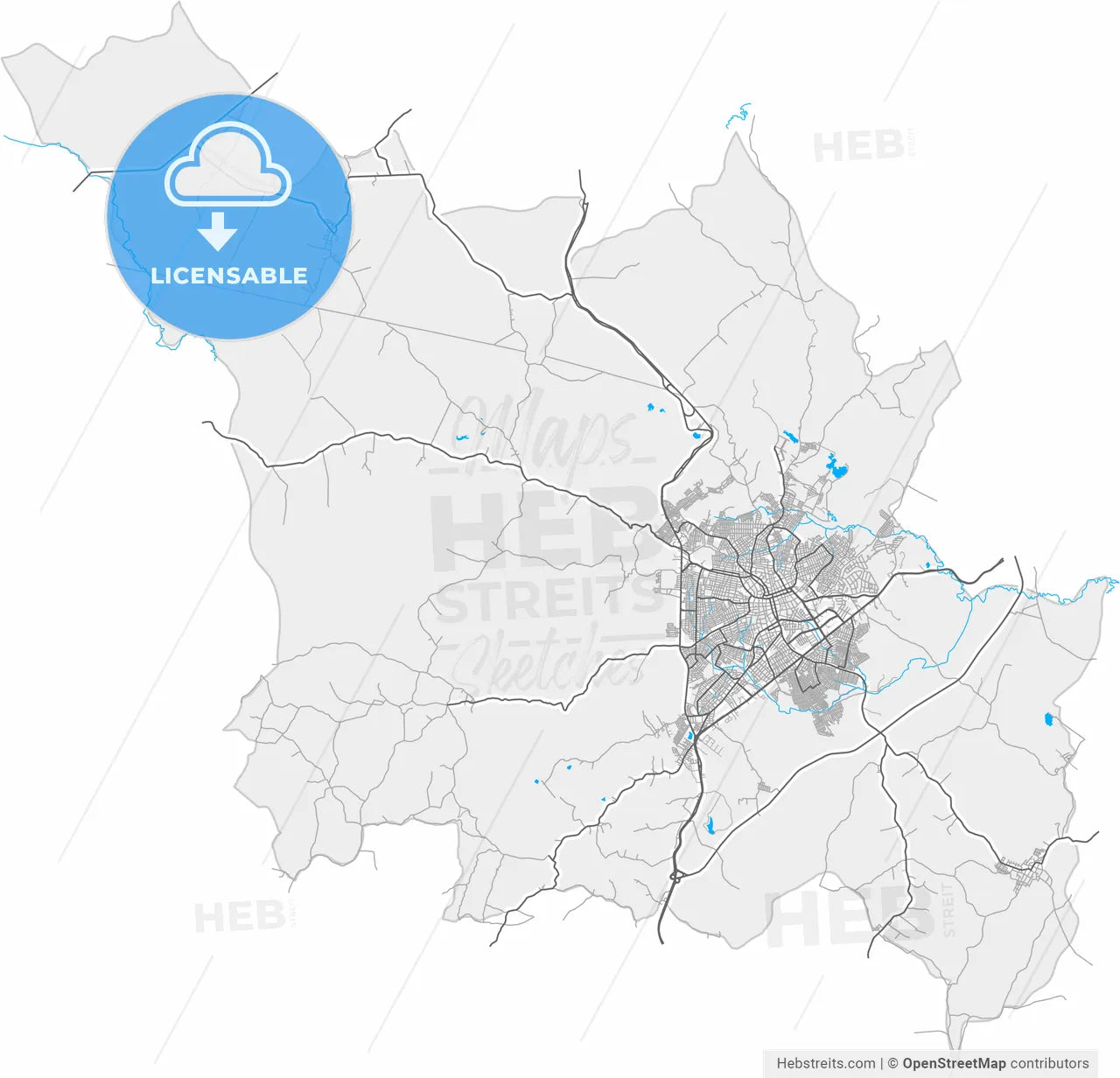 Sincelejo, Colombia, high resolution vector map - Instant download PDF and JPG