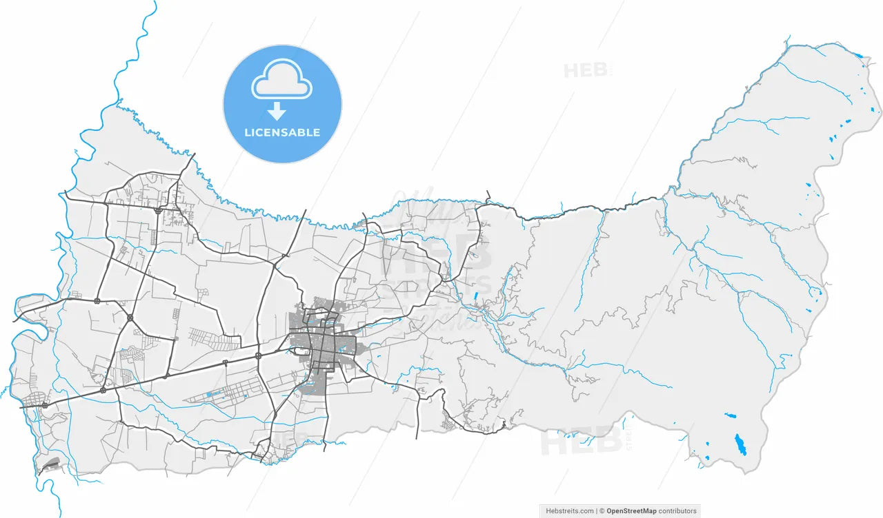 Palmira, Colombia, high resolution vector map - Instant download PDF and JPG