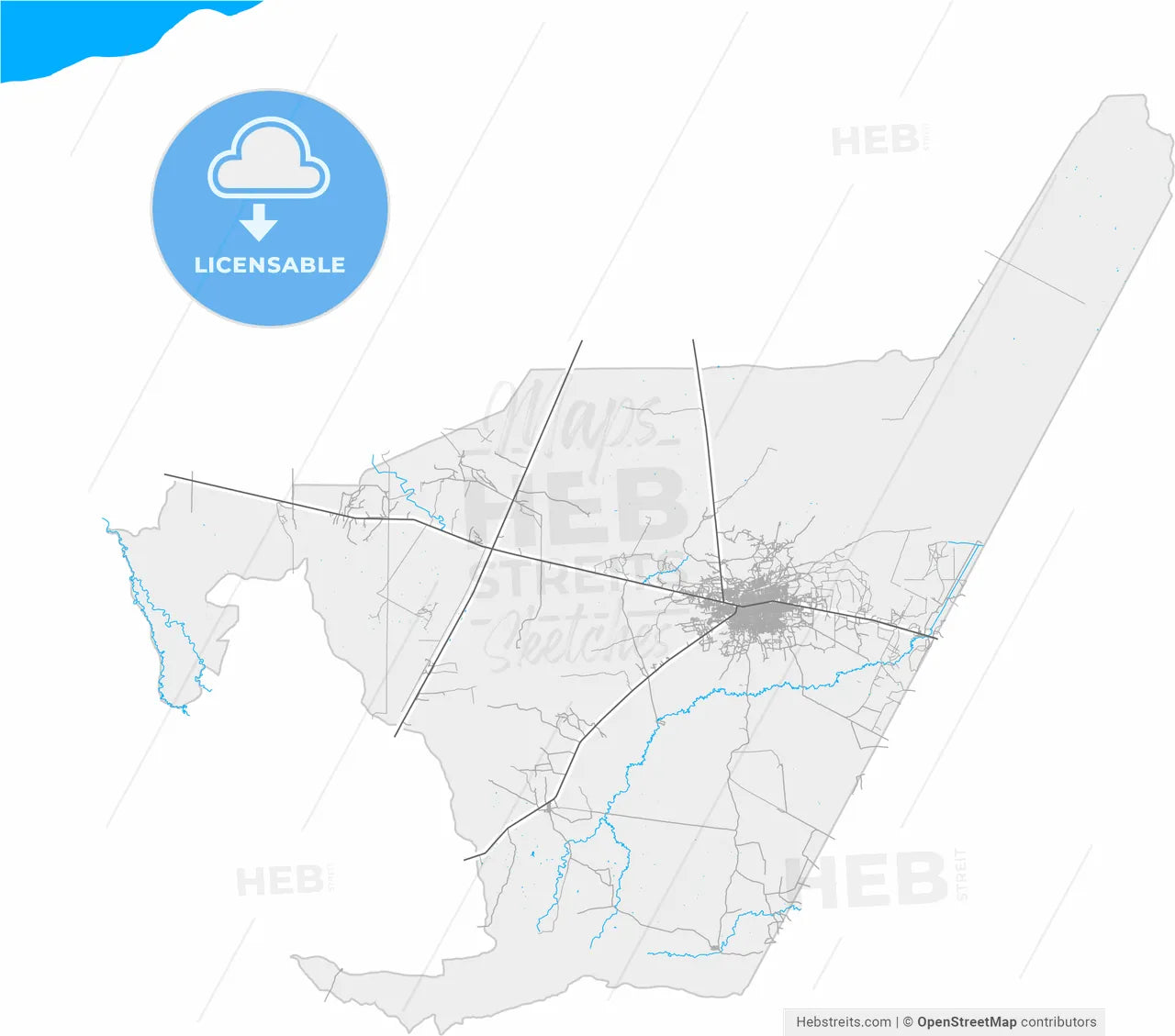 Maicao, Colombia, high resolution vector map - Instant download PDF and JPG