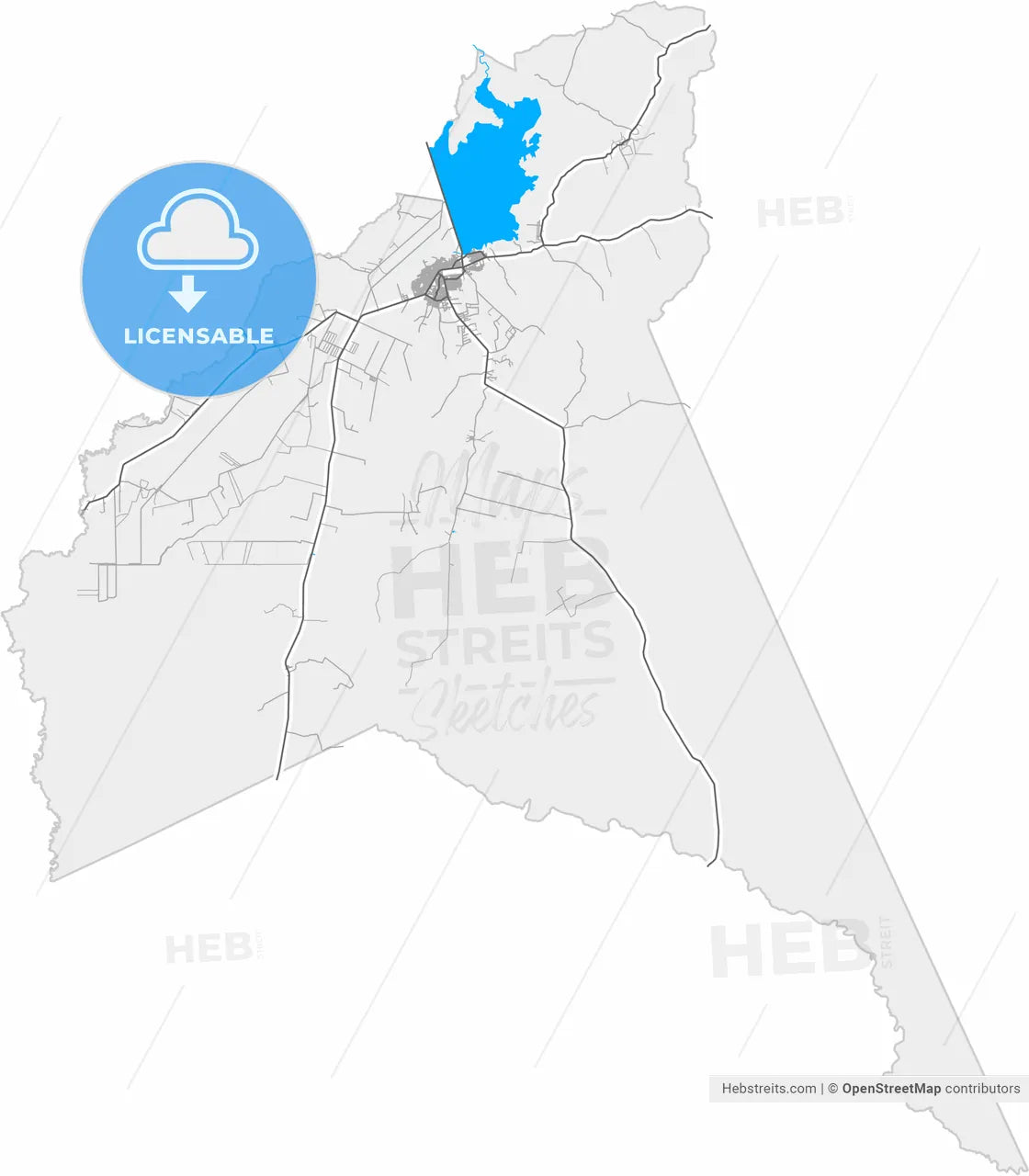 Calabozo, Venezuela, high resolution vector map - Instant download PDF and JPG