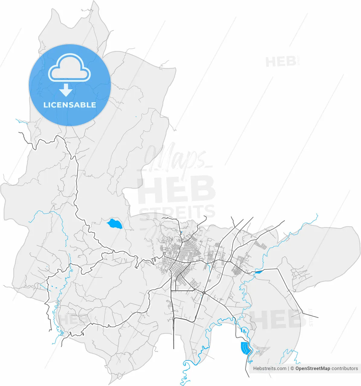 Zipaquira, Colombia, high resolution vector map - Instant download PDF and JPG