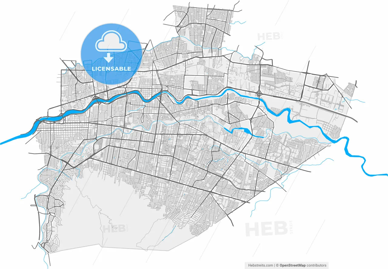 Guadalupe, Nuevo León, Mexico, high resolution vector map - Instant download PDF and JPG