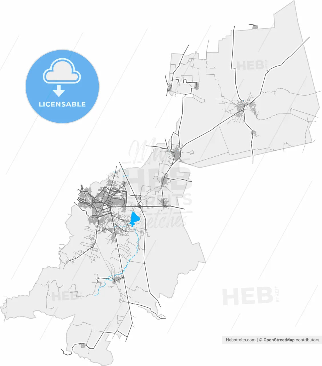 Guadalupe, Zacatecas, Mexico, high resolution vector map - Instant download PDF and JPG