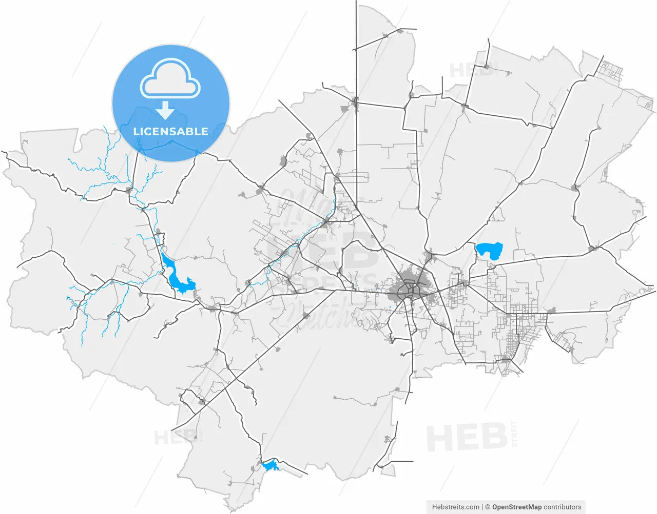 Fresnillo, Zacatecas, Mexico, high resolution vector map - Instant download PDF and JPG