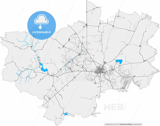 Fresnillo, Zacatecas, Mexico, high resolution vector map - Instant download PDF and JPG