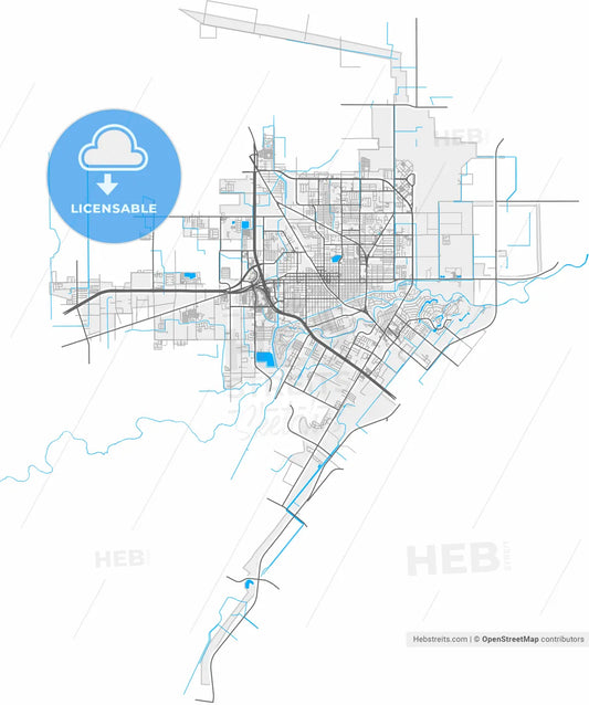 Harlingen, Texas, United States, high resolution vector map - Instant download PDF and JPG