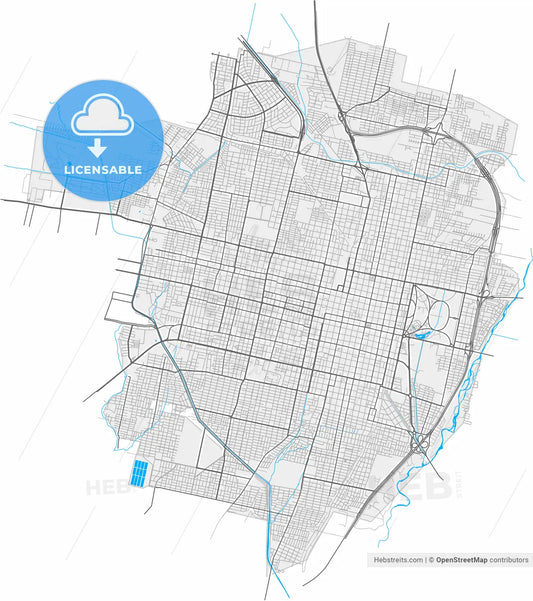 San Miguel de Tucuman, Argentina, high resolution vector map - Instant download PDF and JPG