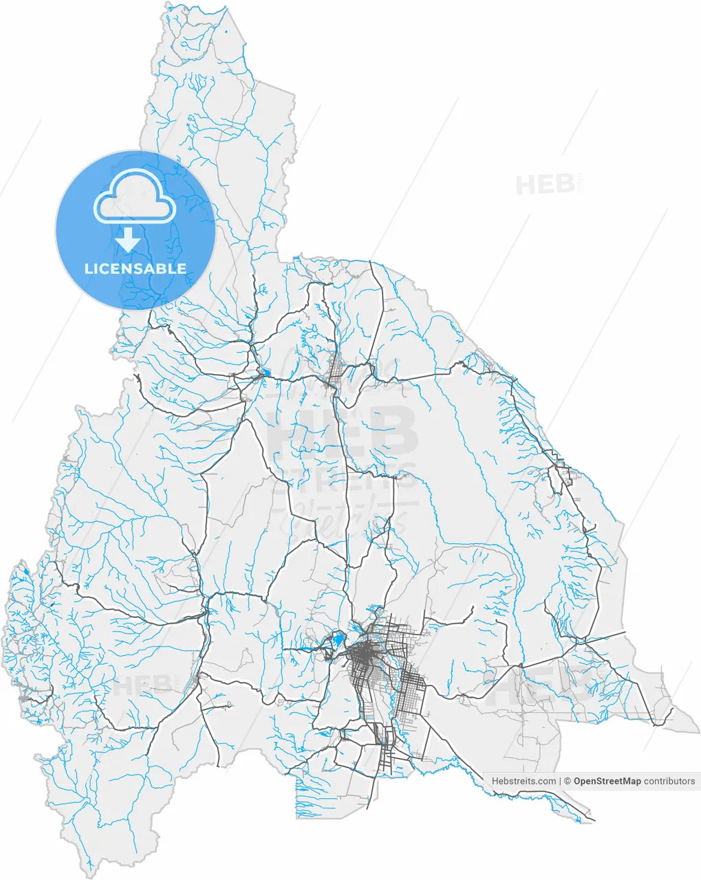 San Juan, Argentina, high resolution vector map - Instant download PDF and JPG