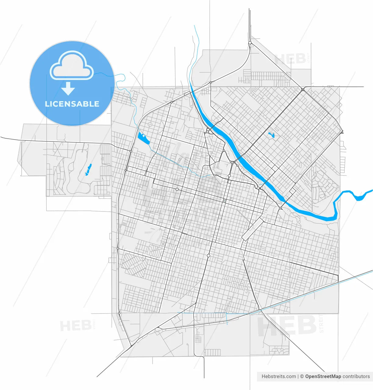 Rio Cuarto, Argentina, high resolution vector map - Instant download PDF and JPG