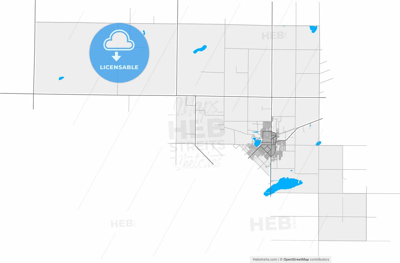 Santa Rosa, Argentina, high resolution vector map - Instant download PDF and JPG