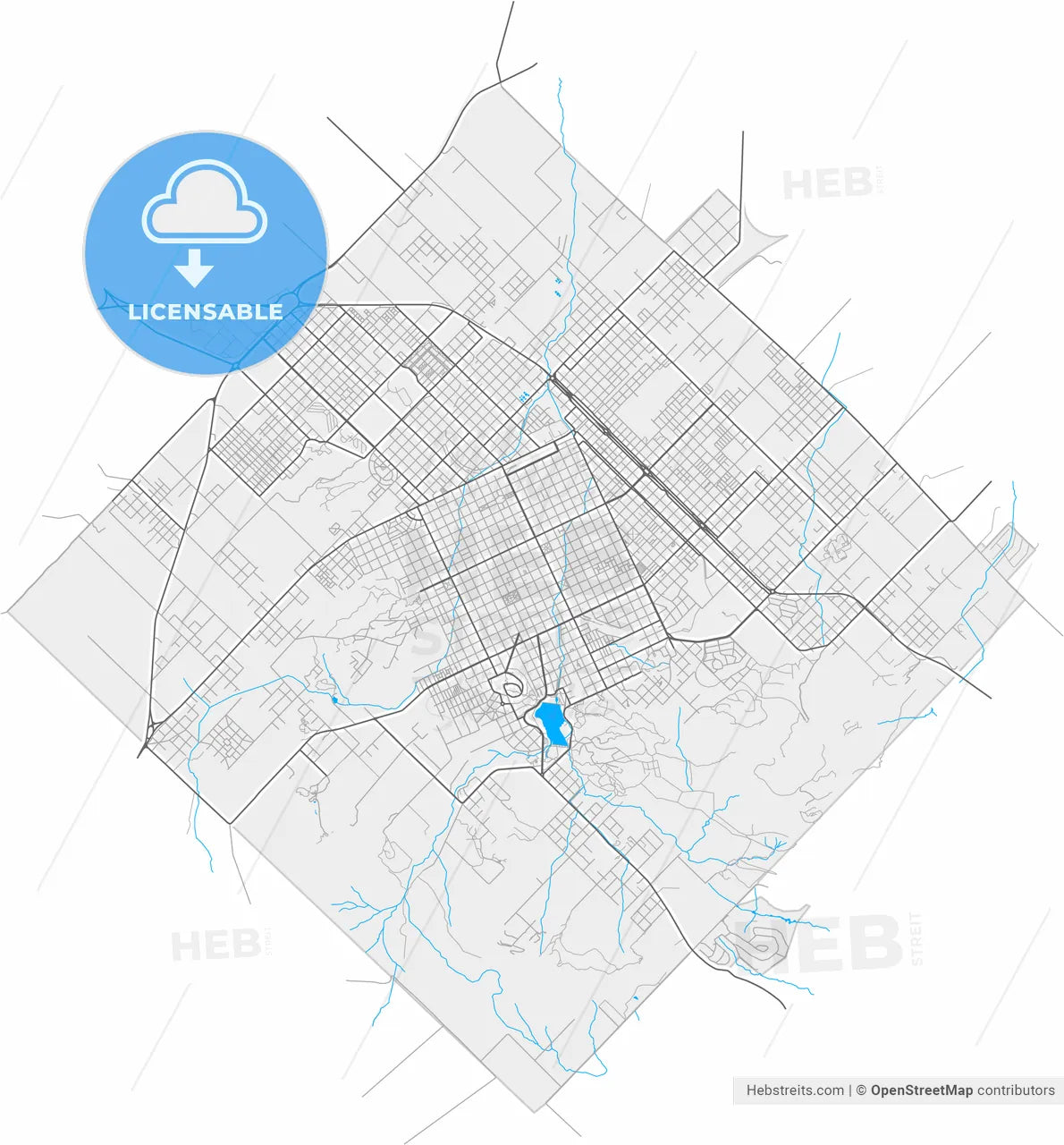 Tandil, Argentina, high resolution vector map - Instant download PDF and JPG