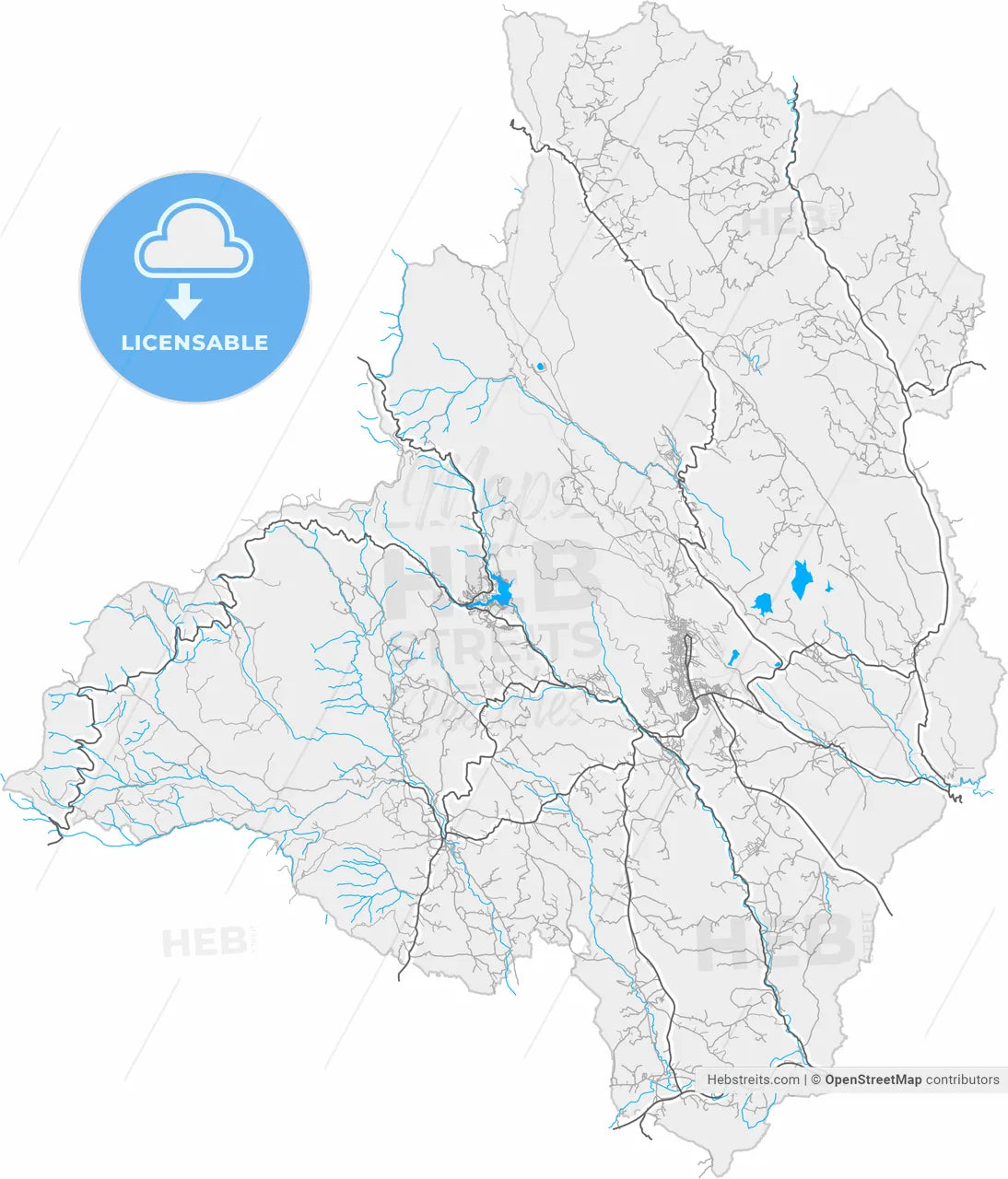 Bor, Bor, Serbia, high resolution vector map - Instant download PDF and JPG