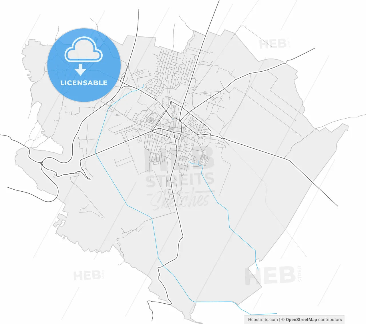 Negotin, Bor, Serbia, high resolution vector map - Instant download PDF and JPG