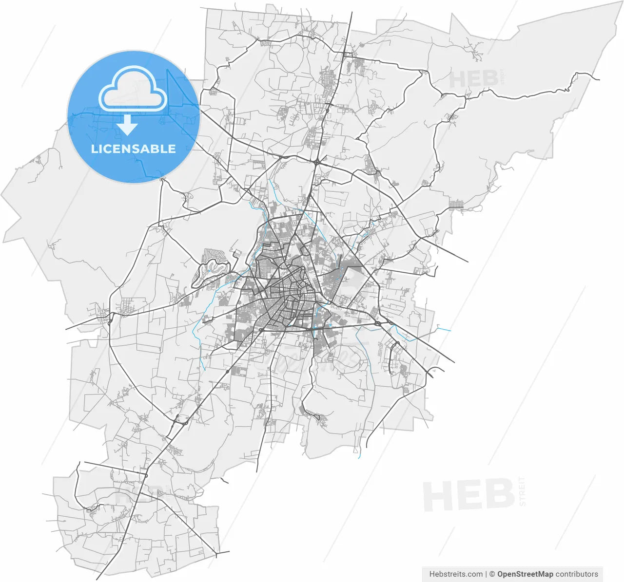 Irapuato, Guanajuato, Mexico, high resolution vector map - Instant download PDF and JPG