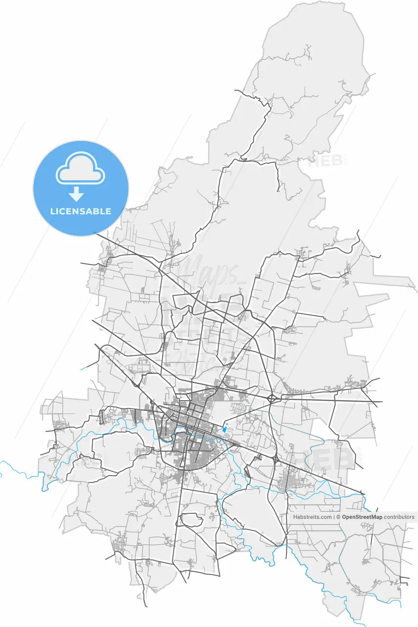Salamanca, Guanajuato, Mexico, high resolution vector map - Instant download PDF and JPG